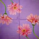 229 Daisies - 3-ply - Stewo - Ella Doran