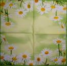 333 Daisies - 3-ply - Ihr