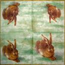 066 Hasen: natürlich - 3-lagig (grasgrün) - Ihr - Dürer Hase