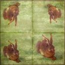 066 Rabbits:  natürlich - 3-ply (gelbgrün) - Ihr - Dürer Rabbit