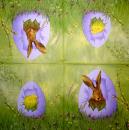 075 Rabbits:  natürlich - 3-ply (purple) - Ihr