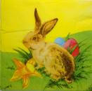 164 Rabbits:  natürlich - 3-ply