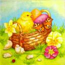 114 Küken - 3-lagig