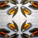 094 Muscheln - 3-lagig (blau) - Home Fashion