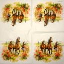 051 Pferde - 3-lagig - Ambiente