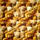 026 Teddy - 3-lagig - Stewo