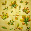 001 Pflanzen - 3 lagig - Molca