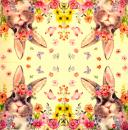 105 Hasen: natürlich - 3-lagig