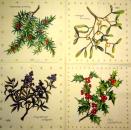 211 Weihnachten Blumen - 3-lagig - CS