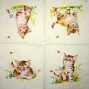 299 Katzen - 3-lagig