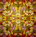 034 Nudeln - 3-lagig