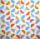 019 Kleidung - 3-lagig