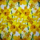 108 Daffodils - 3 ply - Home Fashion