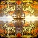 278 Zebra - 3-lagig - Künstler