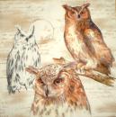 044 Eulen - 3-lagig - Ihr