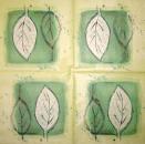 001 Pflanzen - 3 lagig - Molca