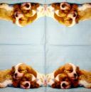 212 Hunde - 3-lagig - Ambiente