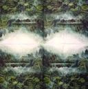 001 Pflanzen - 3 lagig - Molca