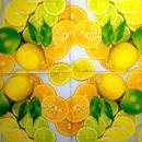 072 Lemons,  Oranges - 3 ply
