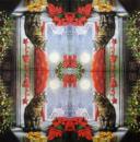 KAT-968 Katzen - 3-lagig - Ihr