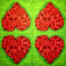 164 Heart / Hearts - 3-ply - Henrike Gomber