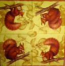 029 Eichhörnchen - 3-ply (yellow) - Ihr