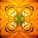191 Halloween - 3-ply (4/4 Motif)