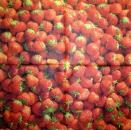 BEE-406 Beeren - 3-lagig