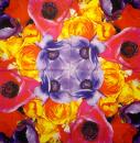 200 Anemones, Poppy - 3-ply - Chris Piper