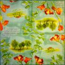 168 Lilies - 3-ply - Ihr