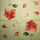 128 Magnolias - 3-ply - Ihr - CS