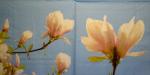 070 Magnolias - 3-ply