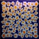 114 Daisies  - 3 ply