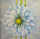 144 Daisies  - 3 ply