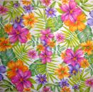 147 Daisies  - 3 ply