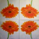 234 Daisies  - 3 ply - Paper Design