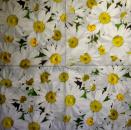 237 Daisies  - 3 ply
