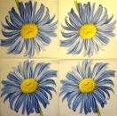 242 Daisies  - 3 ply -