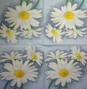 277 Daisies - 3-ply