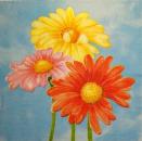281 Margeriten - 3-lagig