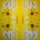 001 Sonnenblumen - 3 lagig