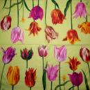 038 Tulips (38) - CS