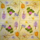 210 Tulpen - 3-lagig - Ambiente