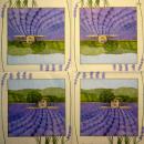 LAV-109 Lavender - 3-ply - Ambiente - CS