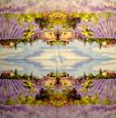 LAV-115 Lavender - 3-ply