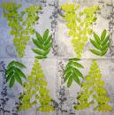 122 Plants - 3-ply
