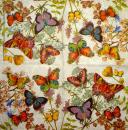 063 Butterflies - Madame est Servie